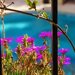 Fuengirola Seaside Bliss: 3 Bedroom With A View